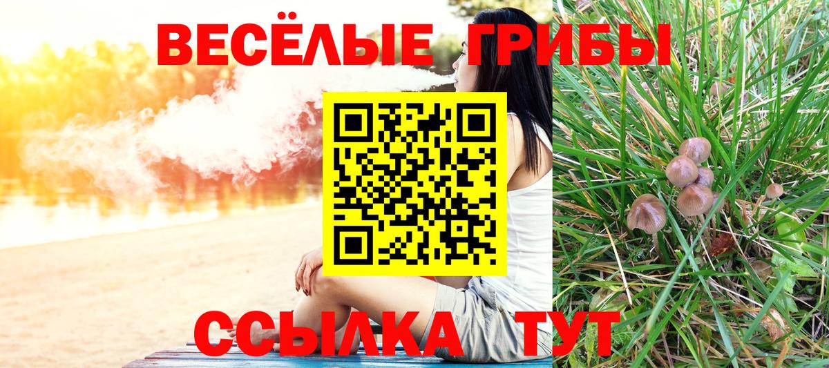 Галлюциногенные грибы Psilocybe  Вход с VPN  Волгодонск 