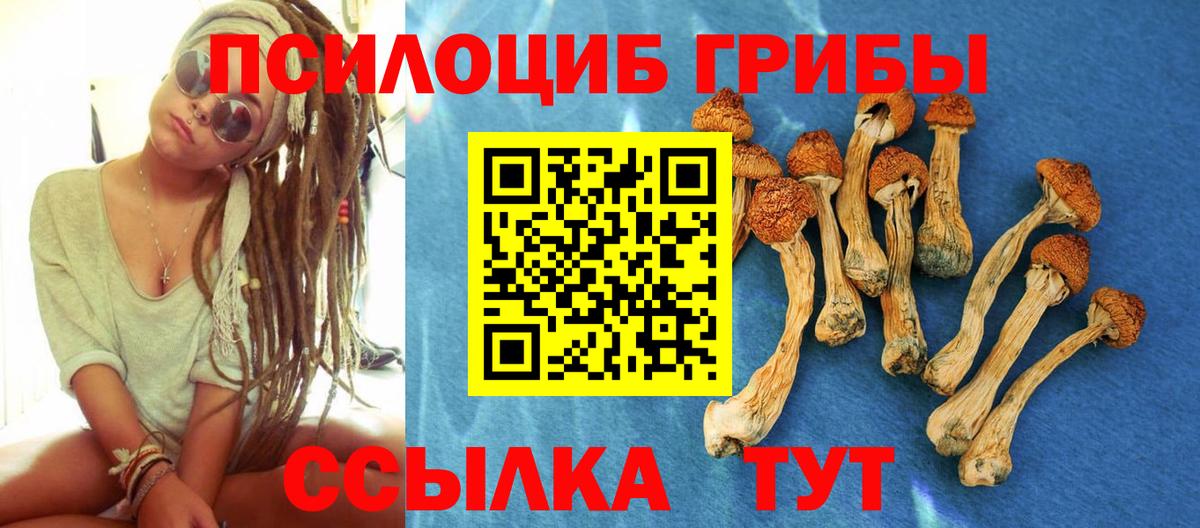Псилоцибиновые грибы прущие грибы Волгодонск
